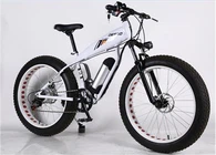 スノーリチウムマウンテンバイクオフロードタイヤ