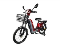 ハイブリッド電動自転車ファミリー使用のアシスト