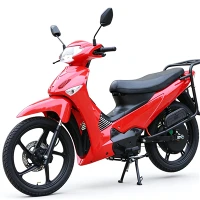 カーブビーム電動バイク経済工場直販